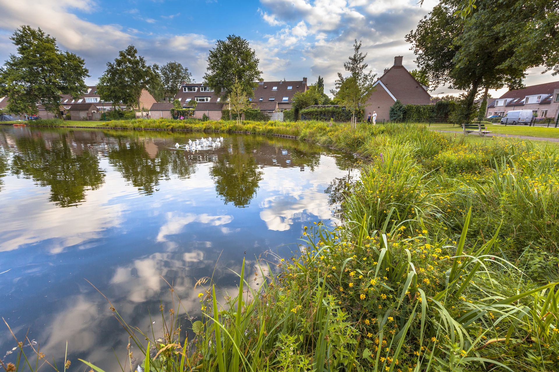 Buying a home in a flood plain or flood zone
